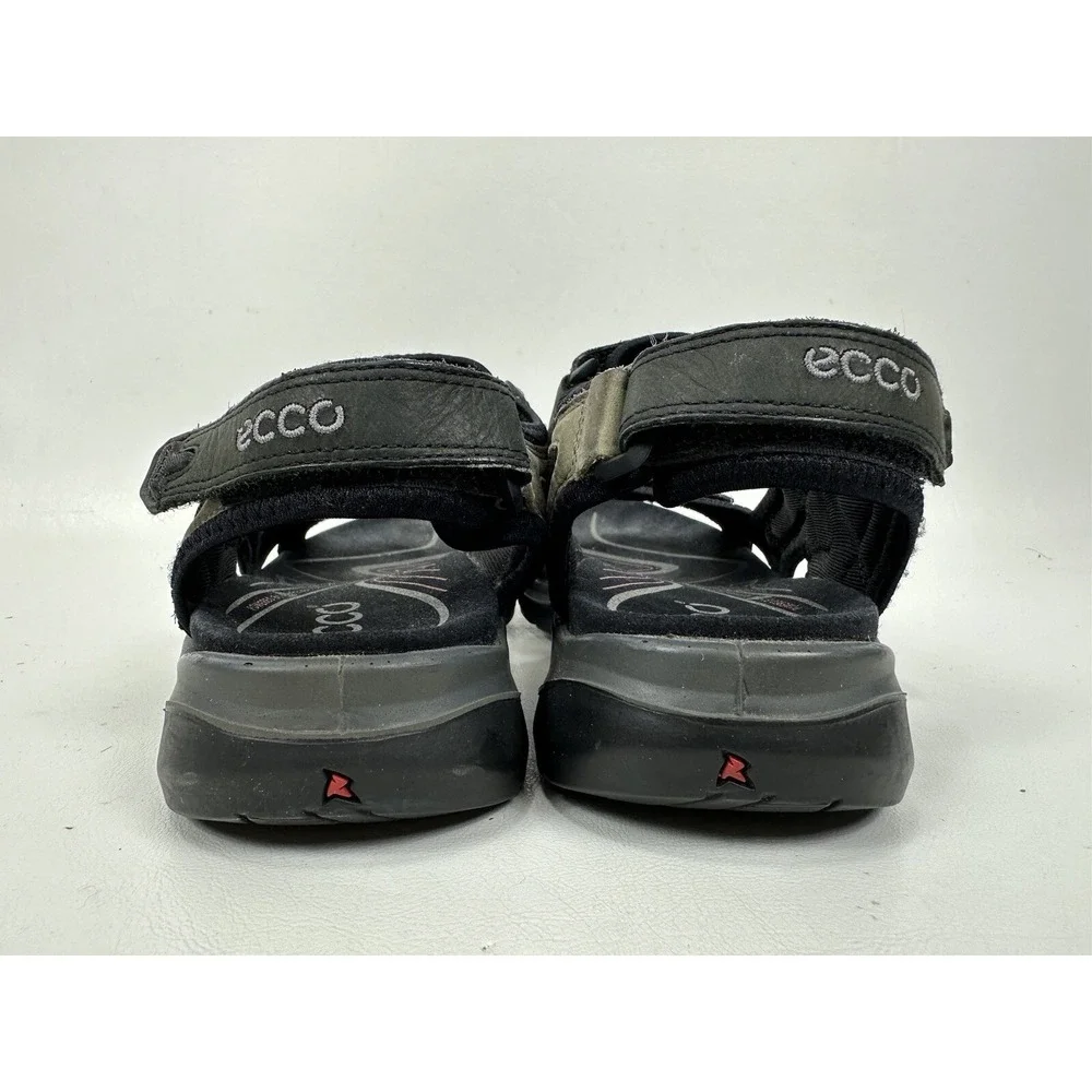 Ecco yucatan receptor